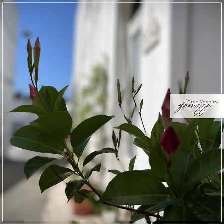 Rebecca E Sofia Stone House Affittacamere Alberobello Zewnętrze zdjęcie